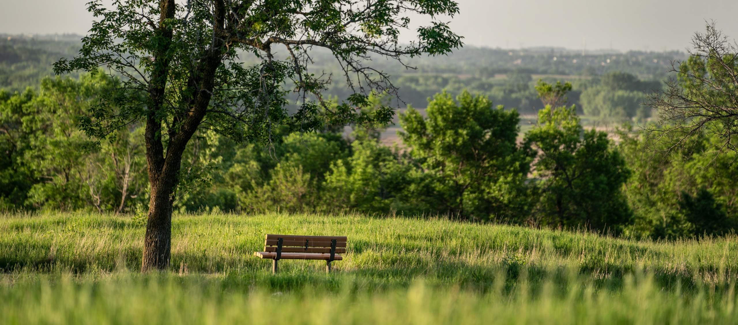 The Trevor Project Launches Public Awareness Campaign to Address LGBTQ+ Youth Mental Health Crisis in Rural Communities