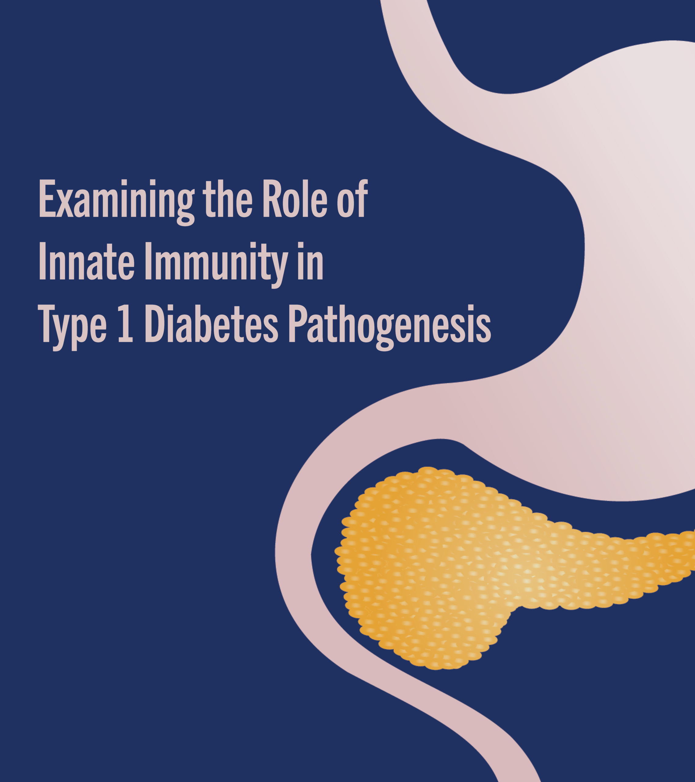 Examining the Role of Innate Immunity in Type 1 Diabetes Pathogenesis