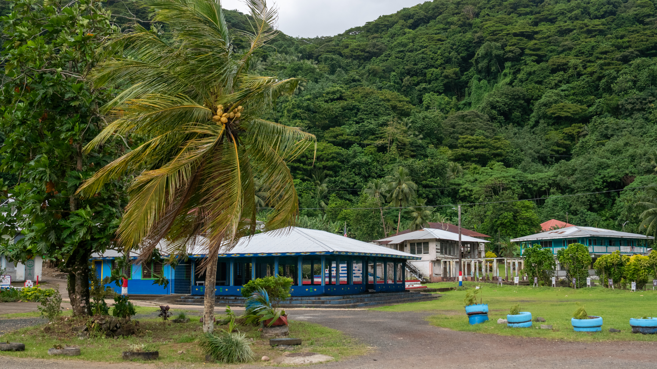 UH Awarded $1.5M+ to Strengthen Health Through Policy Across Hawaiʻi, Pacific