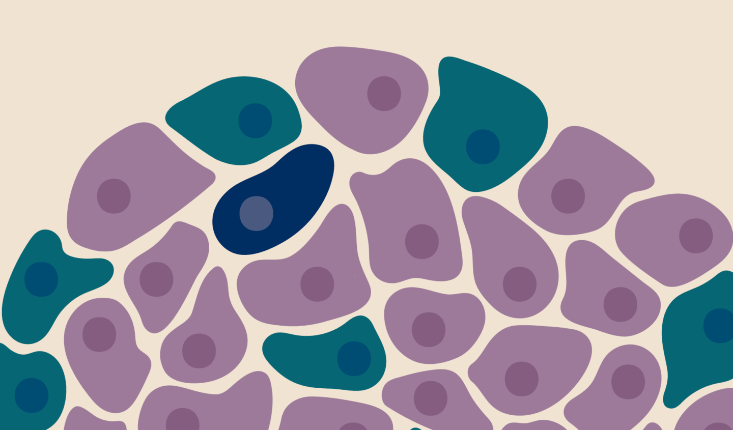 How the Overlooked Alpha Cell Could Improve the Lives of Diabetes Patients