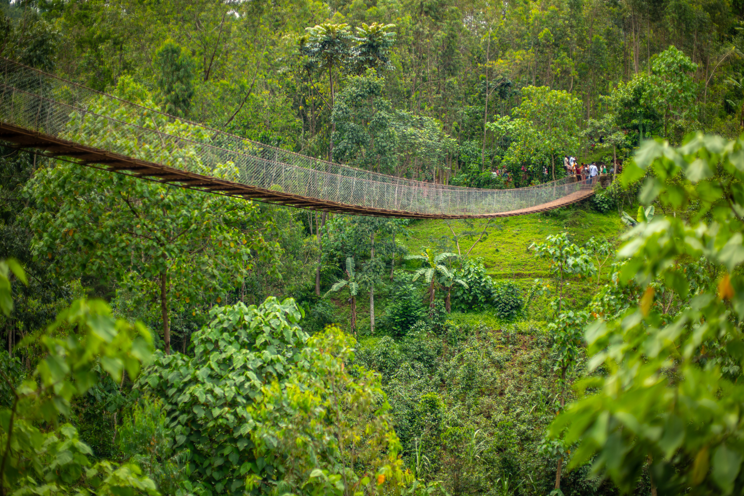 Fika and Helmsley Charitable Trust Announce $11.9 Million Grant to Expand Rural Connectivity in Ethiopia