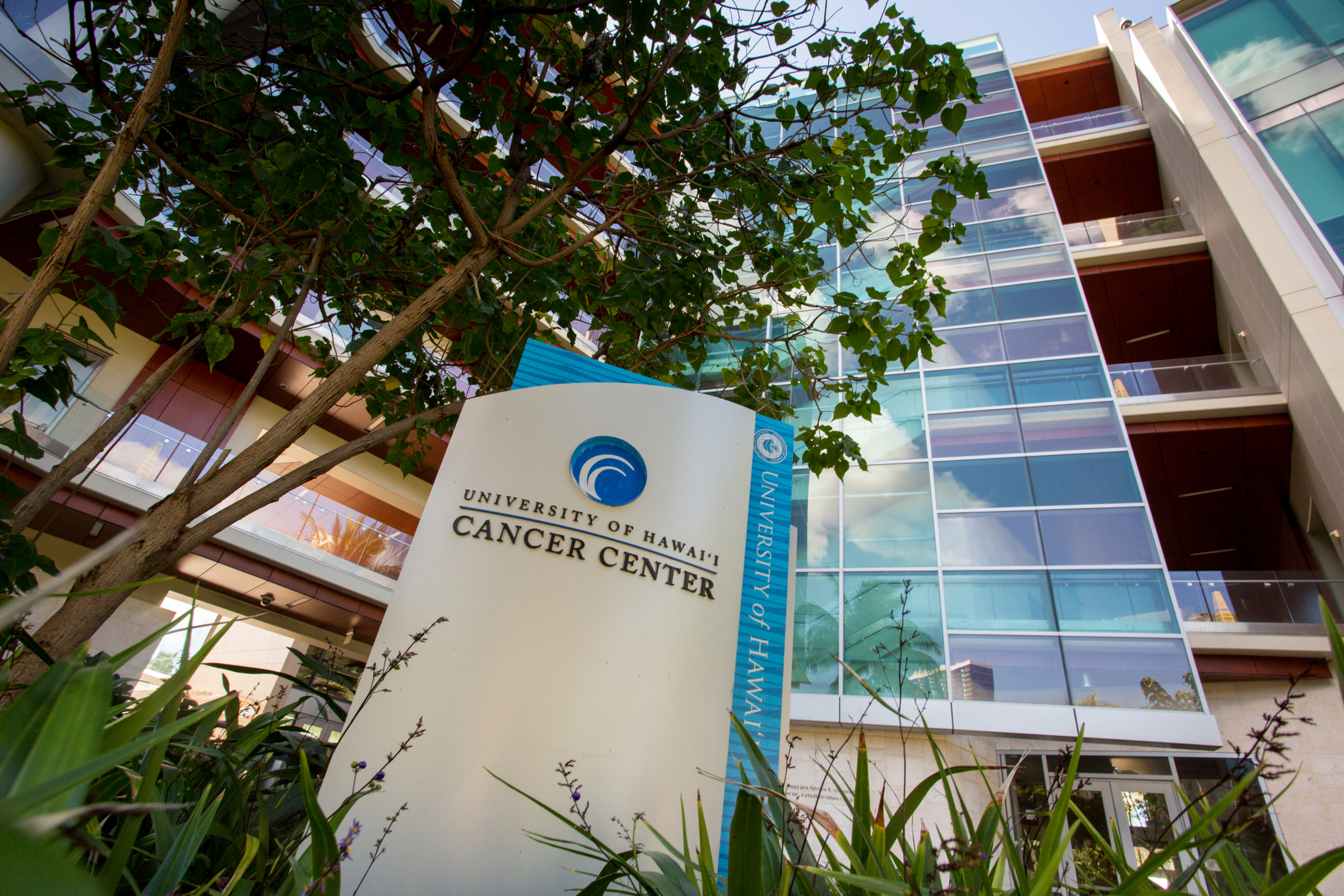 UH Cancer Center receives $2.5M Helmsley grant to expand cancer care statewide